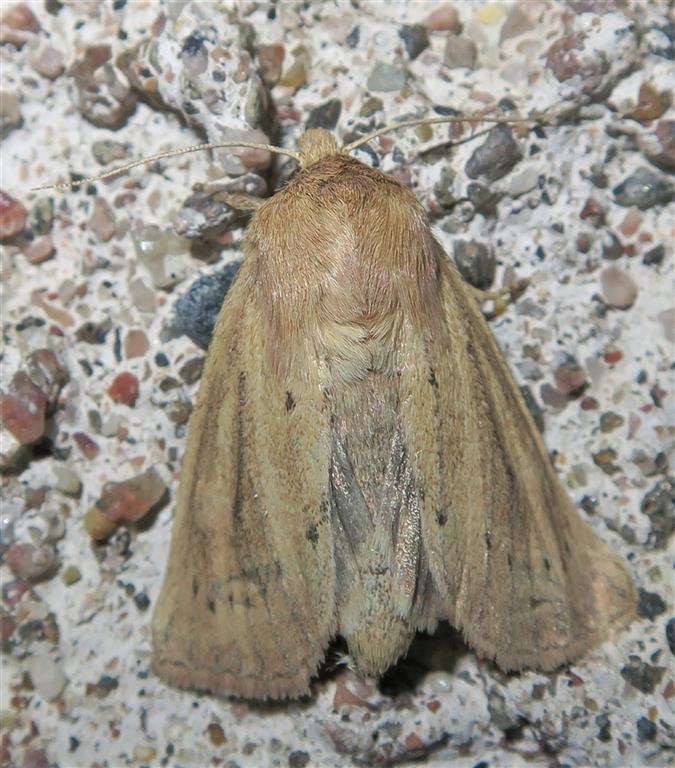 IMG_3858%20(2)%20(Medium)