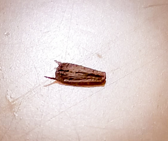IMG-20231010-WA0000