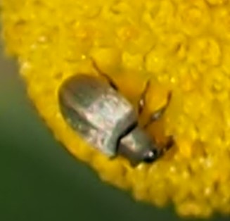 P8050046_2