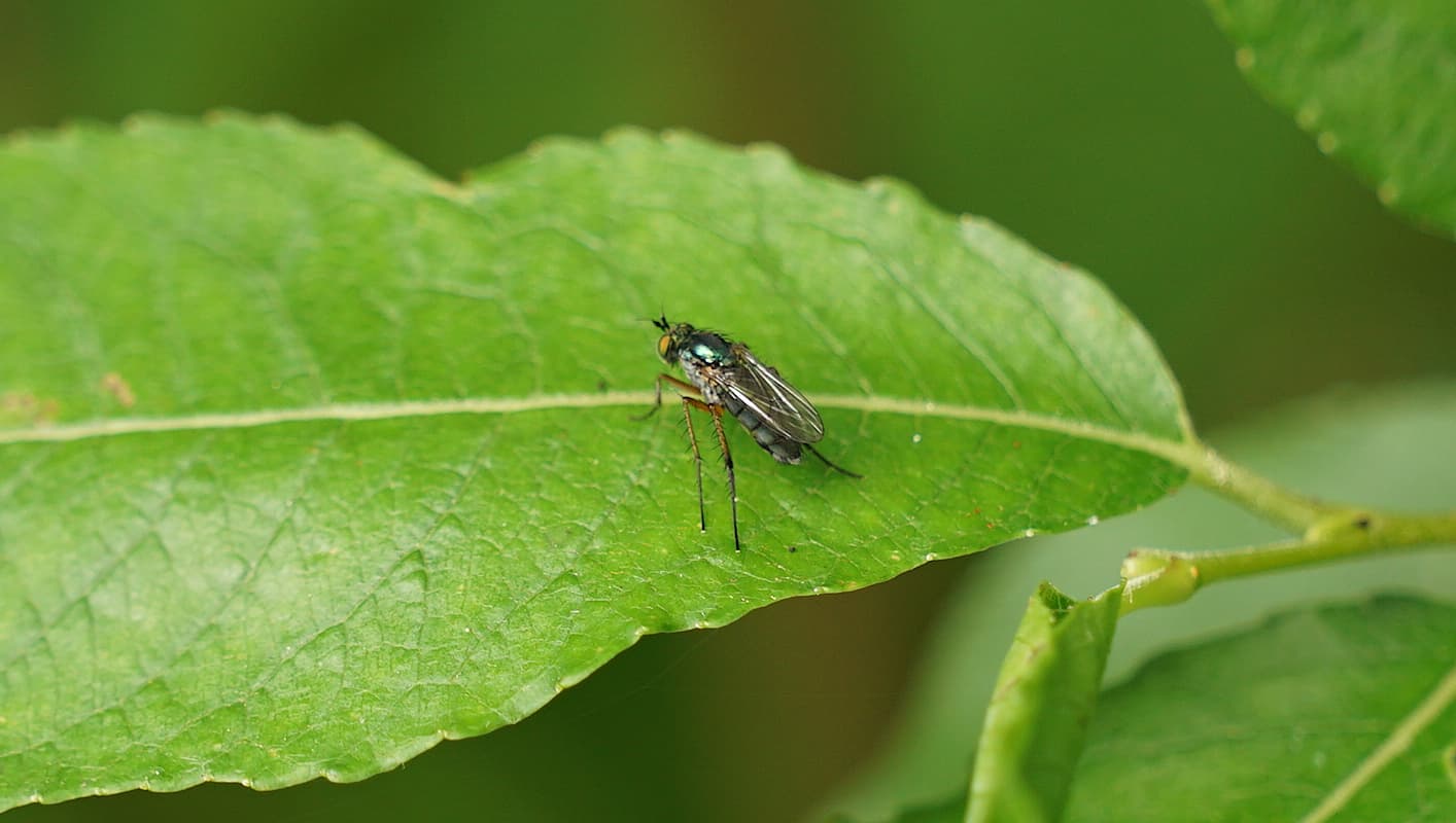 saaski120722-1