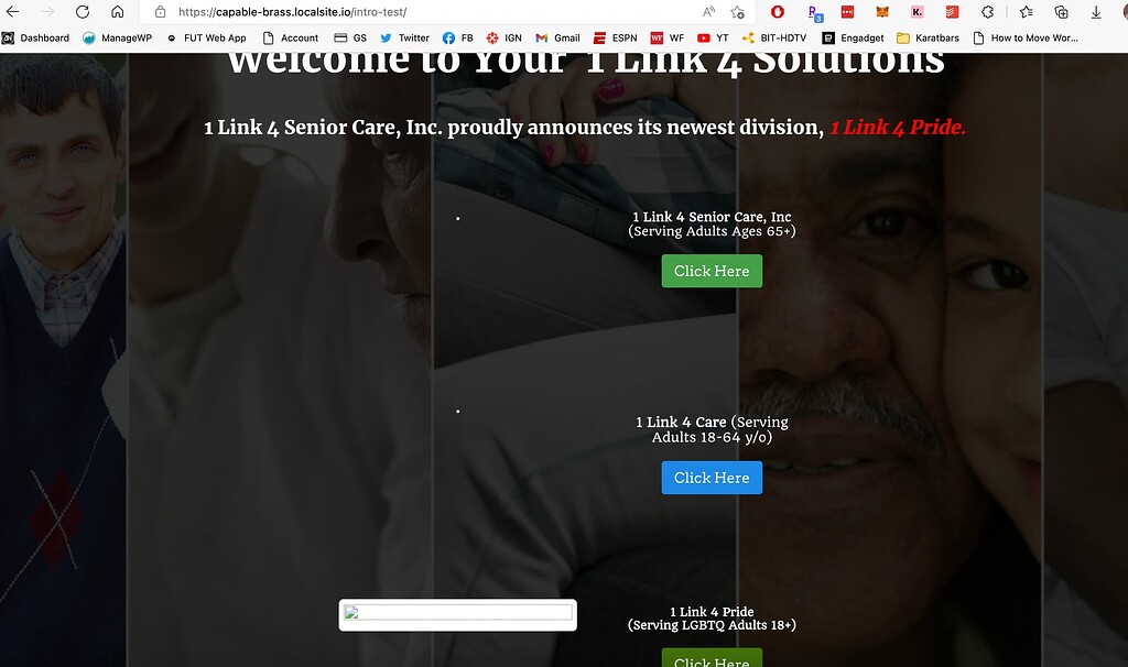 Broken Images not loading on Live Link - Support - Local Community