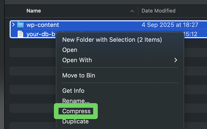 Compress both into a zip file
