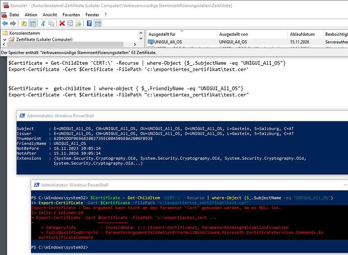 zertifikat_exportieren