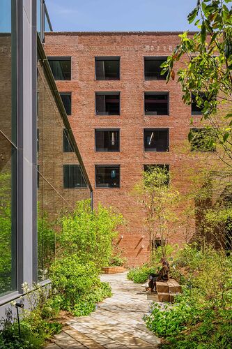 CCOOKFOX_AlexFerrec_AJ2A5724-070-5190ba79-1500