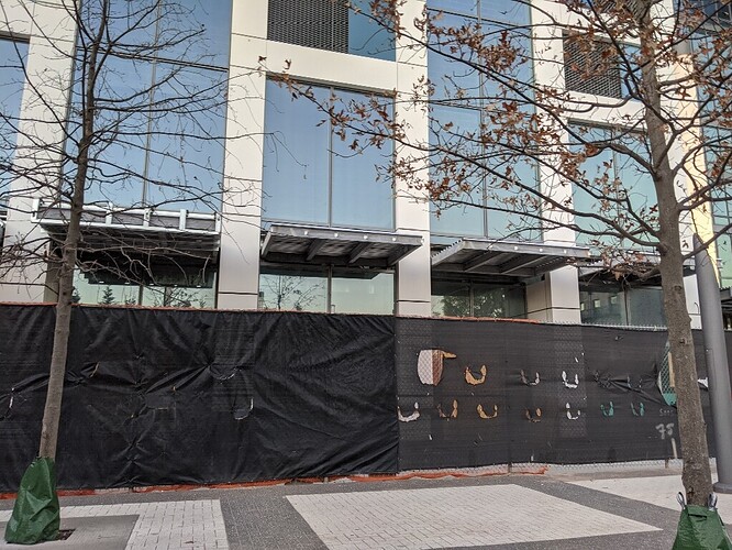 IMG_20201109_164608_resize_37