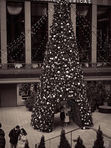 BCS_2023-12-31_GFX-023