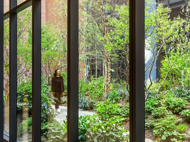 CCOOKFOX_AlexFerrec_AJ2A6443-085-62fc80b0-2500