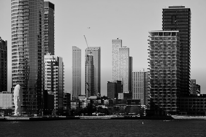 DSC_7950