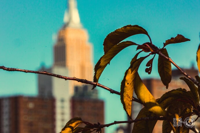 NYCOct21-64