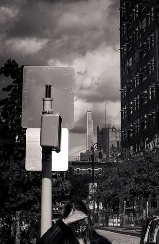 BCS_2020-10-18_X-Pro2_016