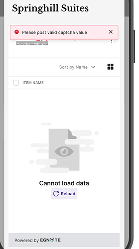 captcha_error