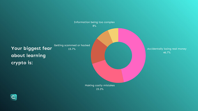 14. Biggest Fear About Learning Crypto