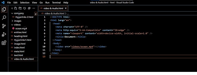 insert video not working