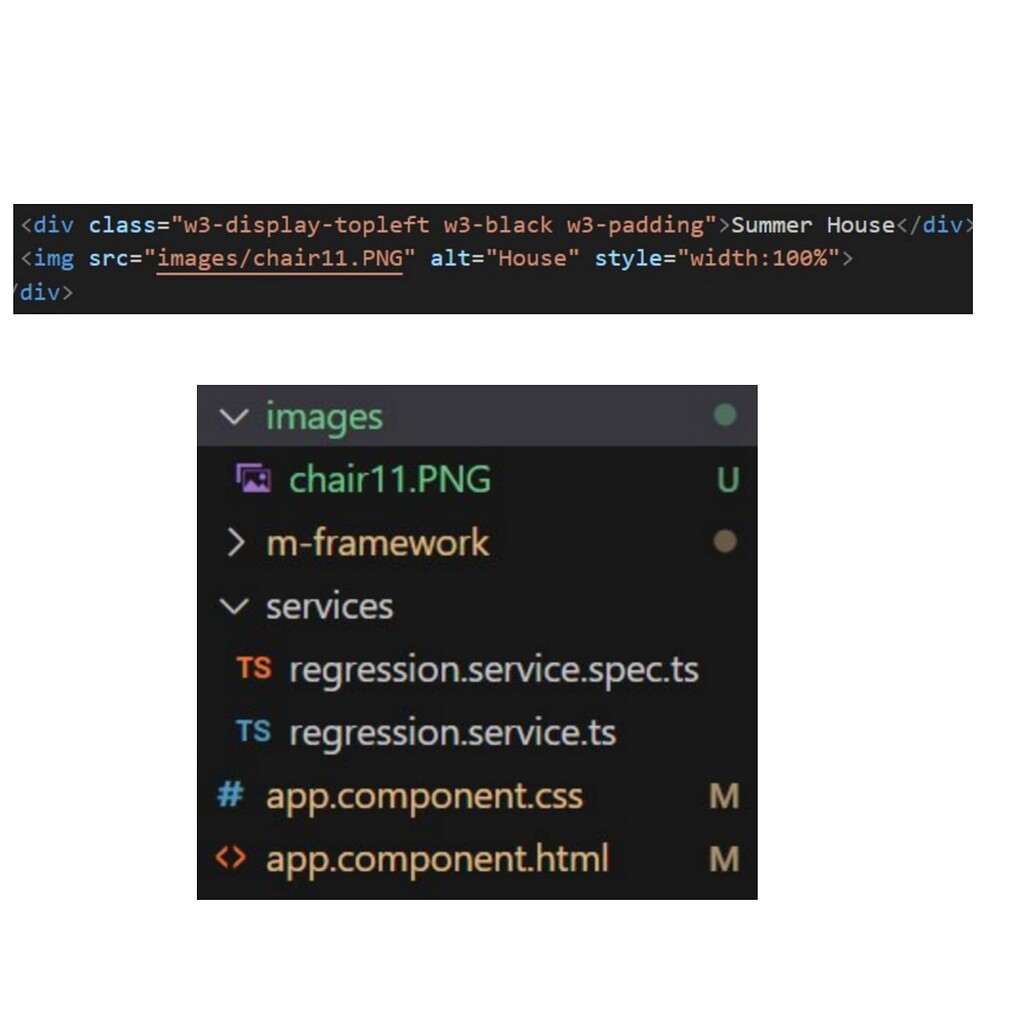 Image not showing in html - HTML/CSS - Code with Mosh Forum