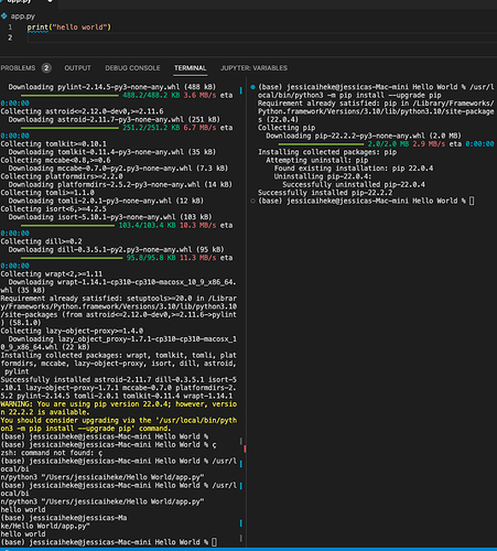 Unable to update Linter for Python ext. in vscode - Python - Code with ...