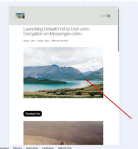 image