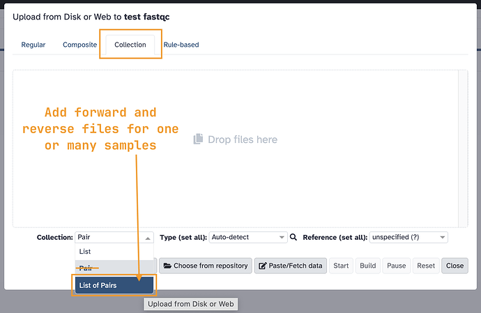 upload-into-a-collection