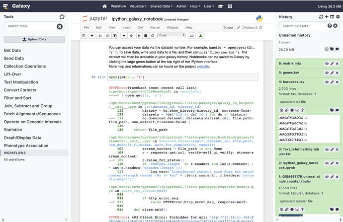 jupyter_on_galaxy_err
