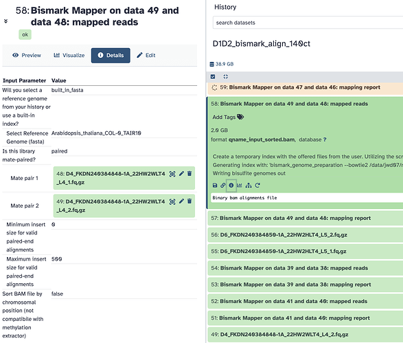 Fig 1: Mapping that went well with its details (which was the same for the later samples that gave failed mapping)