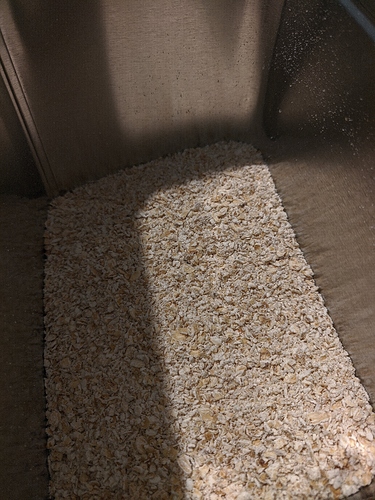 IMG_MJL_☣️-JK-ColourfullNSharp-🌈_20200916_134002719