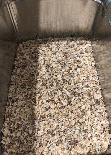 IMG_MJL_☣️-JK-ColourfullNSharp-🌈_20200916_134158148~2