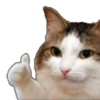 :cat: :cat: