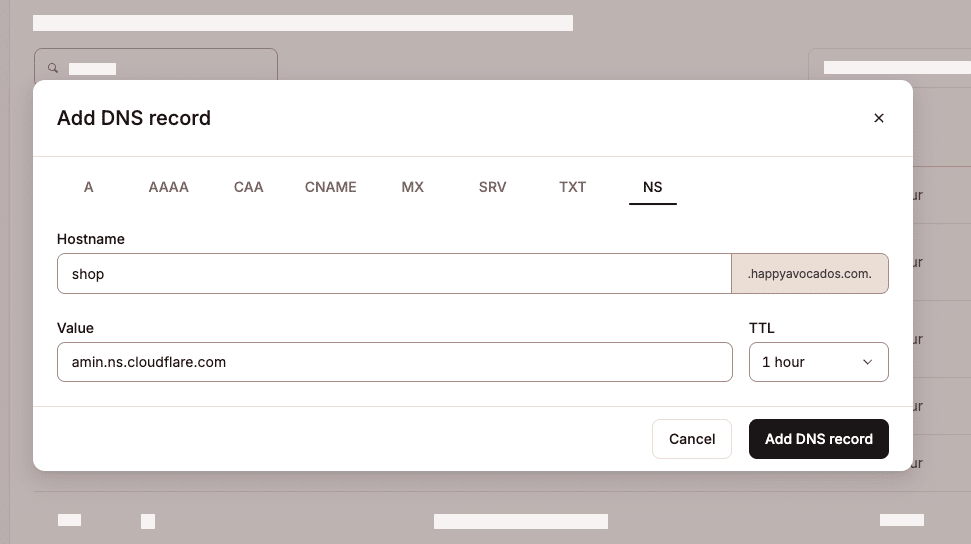 Form for adding a new NS record in MyKinsta DNS settings.