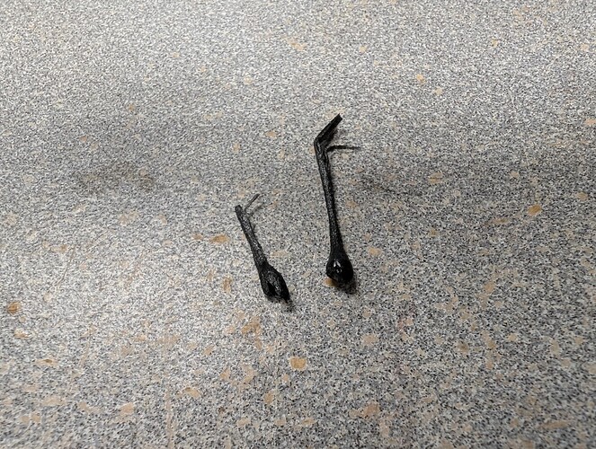 PXL_20241021_135301286.MP