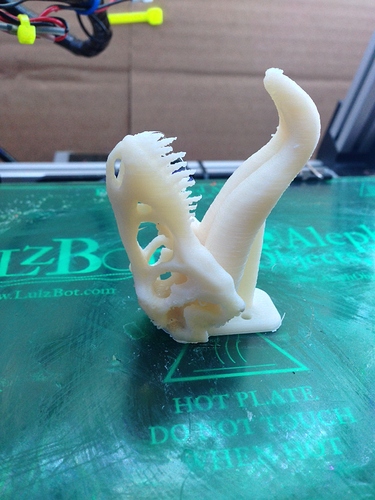 Dino 1.JPG