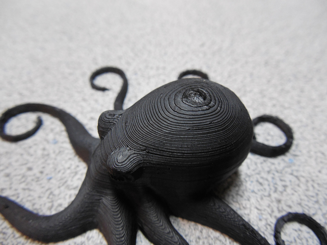 Default Small Octopus gcode - First Print - Bump on top.jpg