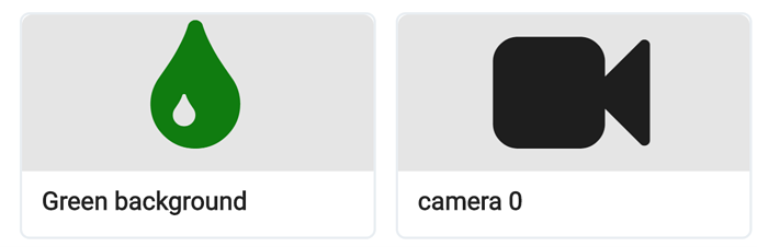 camera