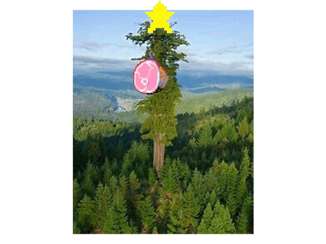 weird tree