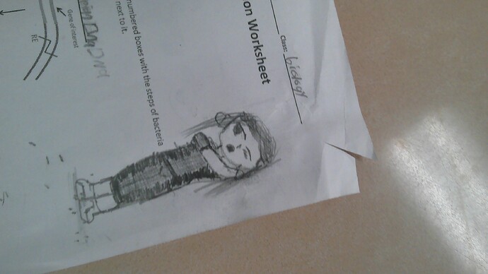 WIN_20260310_11_17_08_Pro