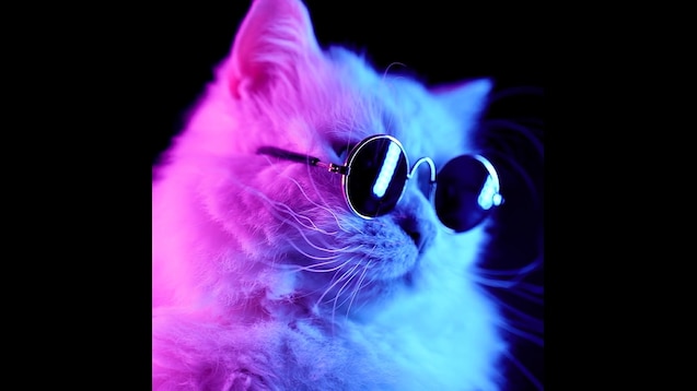 cool cat (1)