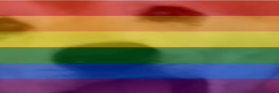 dogeguy but 300% wider and rainbow