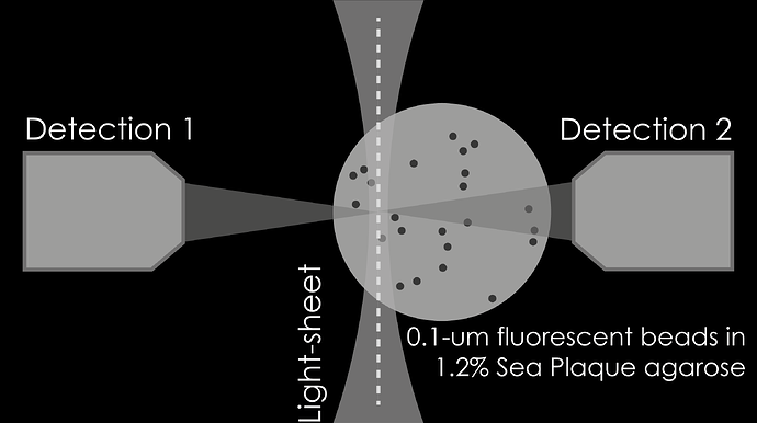 SIMView5_BeadsAcquisition-01