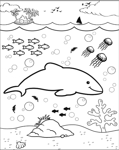 dolphin-target-image