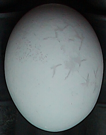 Screenshot 2025-11-23 191346