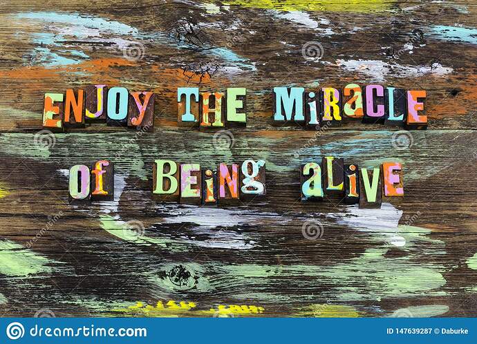 enjoy the miracle of being alive