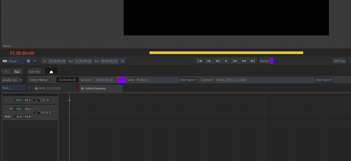 Screen Shot 2021-05-22 at 11.22.16 AM