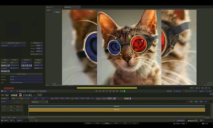 Flame__superimposed__portrait-shot-of-cat-is-not-resized