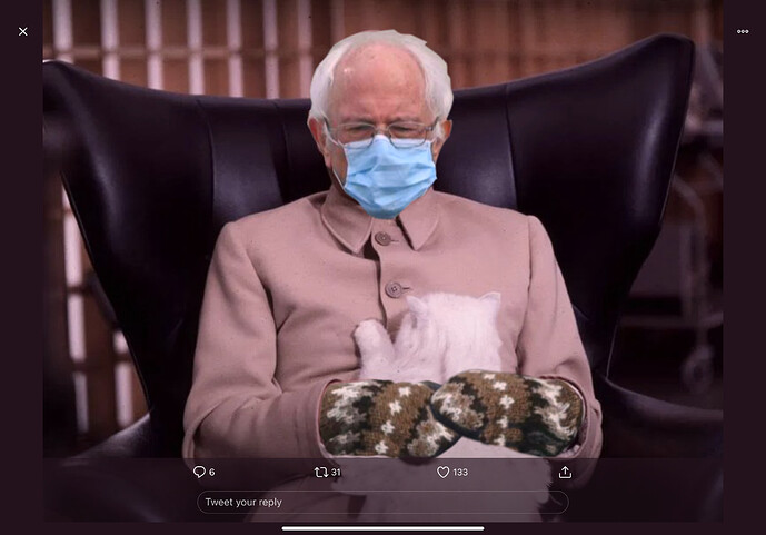 Berniefeld