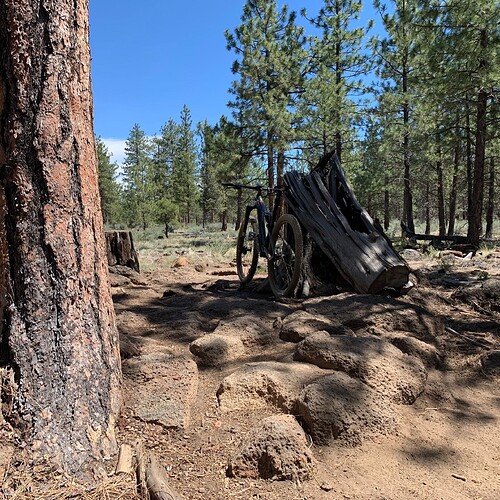 4A179C15-92C3-4E99-9A8F-E5B7E2B97CDC