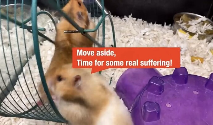 ScreenRecording_11-10-2025 07-01-32_1_V2F_2025-11-10_07-01-34_990