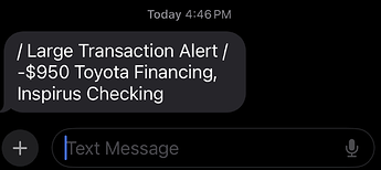 SMS Text Message Large Transaction