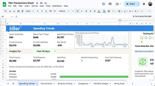 spending trends Tiller