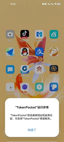 附件1-APP打开报错