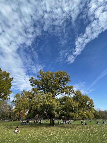 50634310028_acf37593ce_o