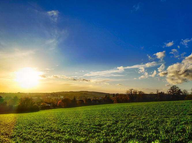 Folly Hill view