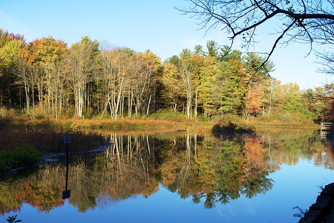 64BB04AB-4494-45F4-AEE3-9D96A79CB248_1_201_a